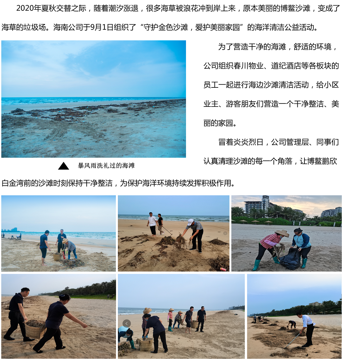 金色沙滩-1.png