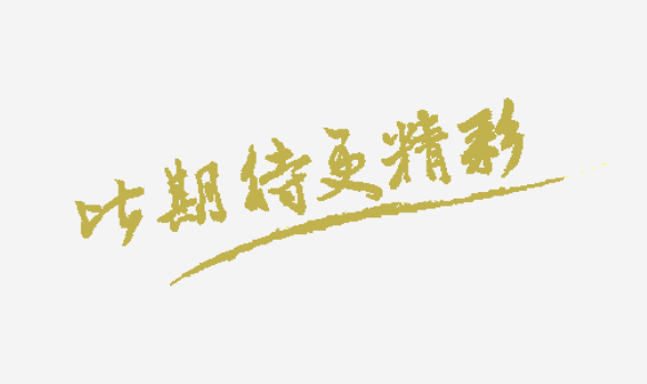 第五阶段：大健康